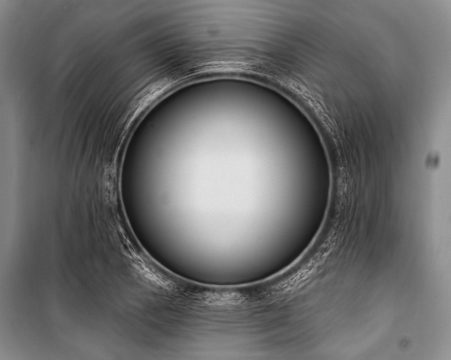 X0000101231129200806271505