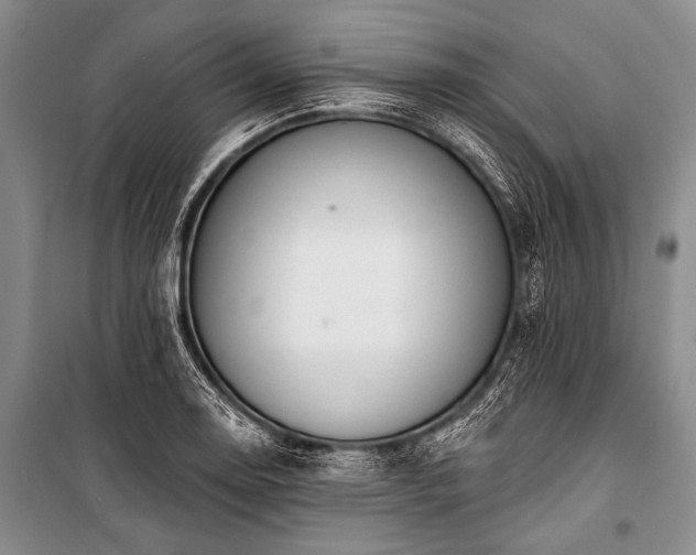 X0000101231130200806271505