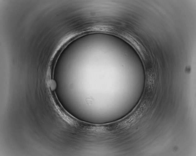 X0000101231131200806271505