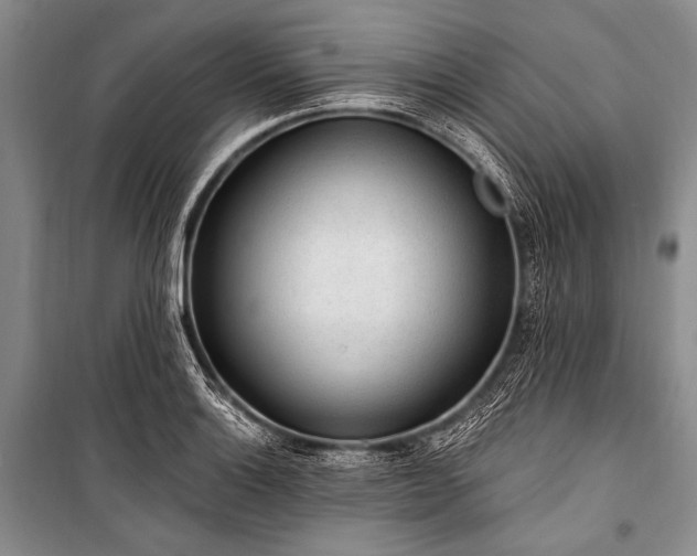 X0000101231132200806271505