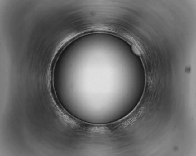 X0000101231133200806271505