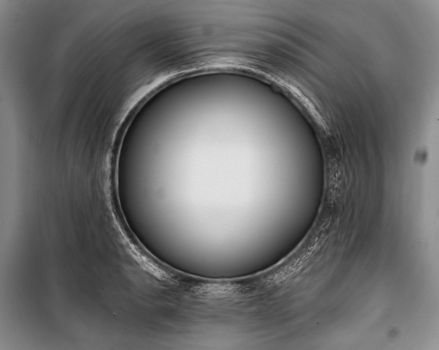X0000101231134200806271505
