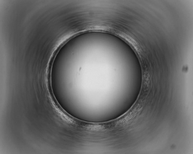 X0000101231135200806271505