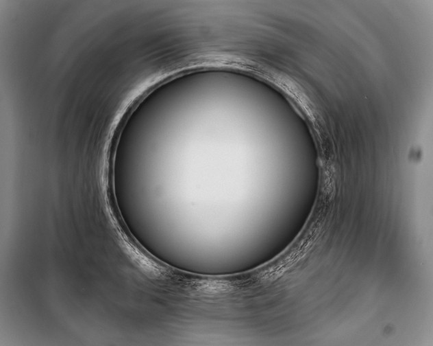 X0000101231136200806271505