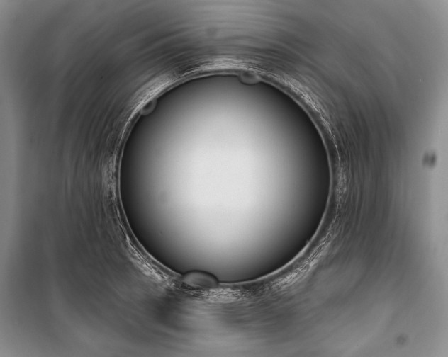 X0000101231137200806271505