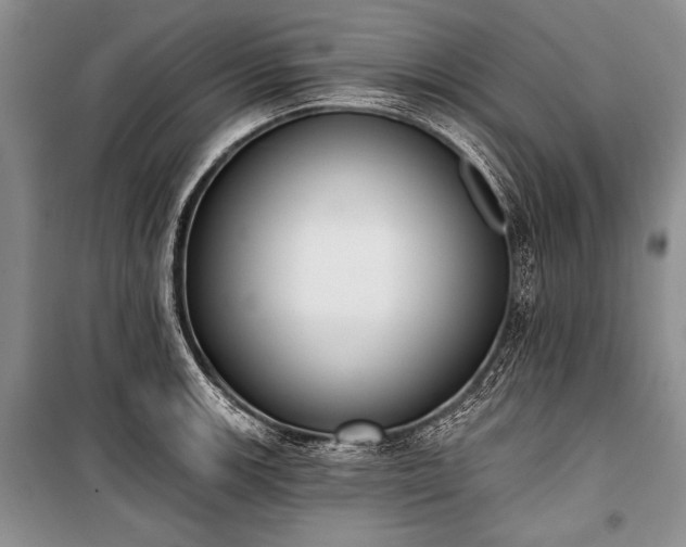 X0000101231139200806271505