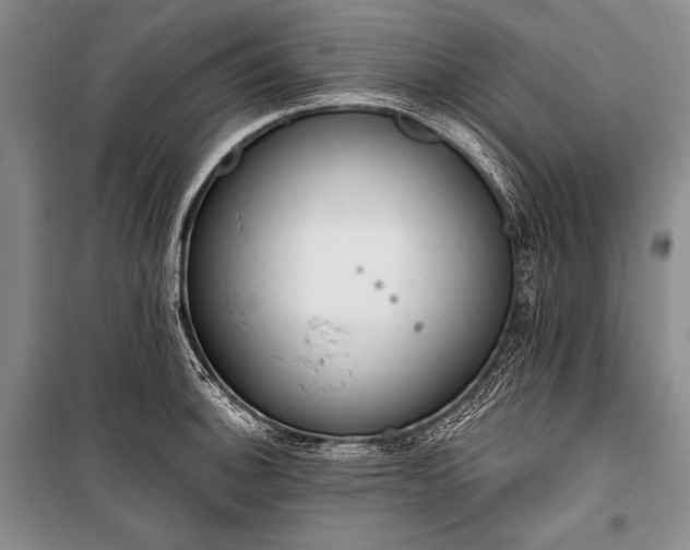 X0000101231140200806271505