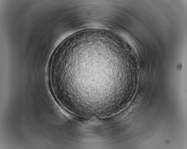 X0000101231141200806271505