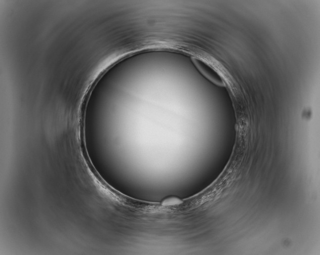 X0000101231143200806271505