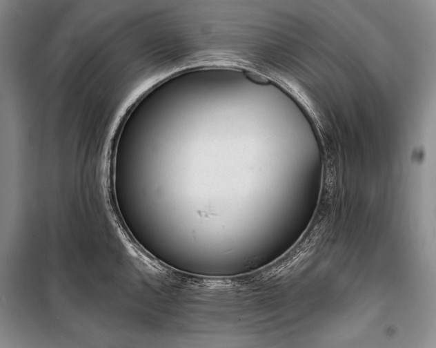 X0000101231144200806271505