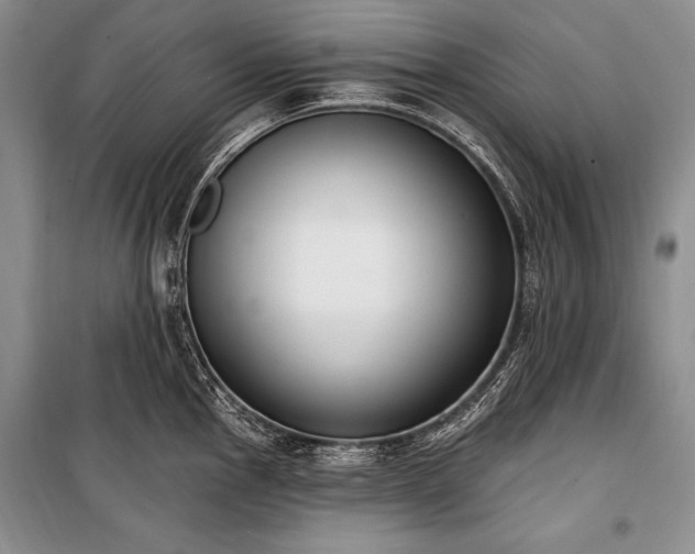 X0000101231145200806271505