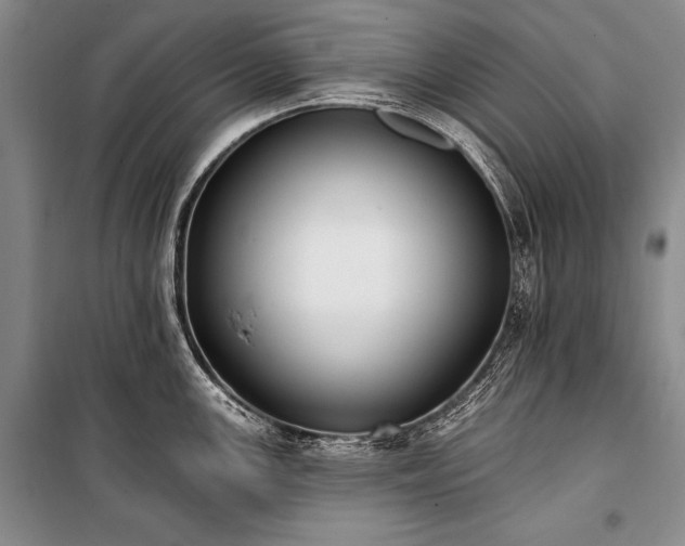 X0000101231147200806271505