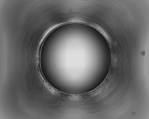 X0000101231148200806271505