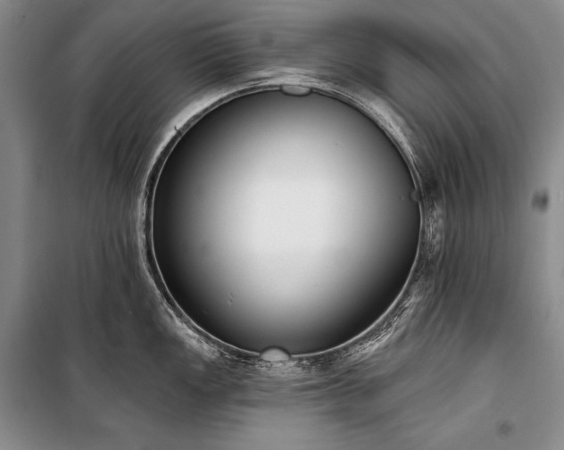 X0000101231149200806271505