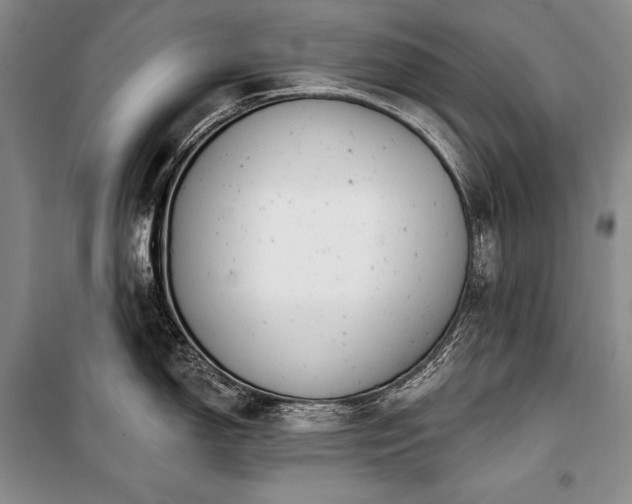 X0000101231150200806271505