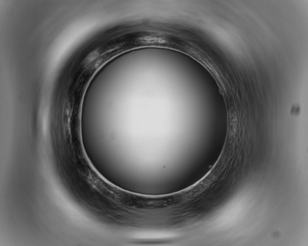 X0000101231151200806271505