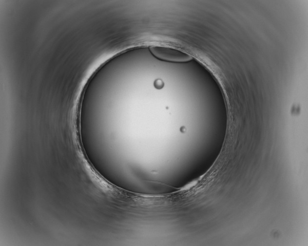 X0000101231152200806271505