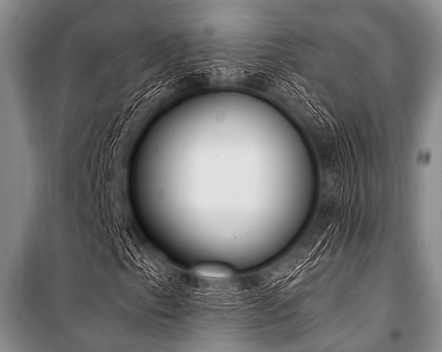 X0000101231153200806271505