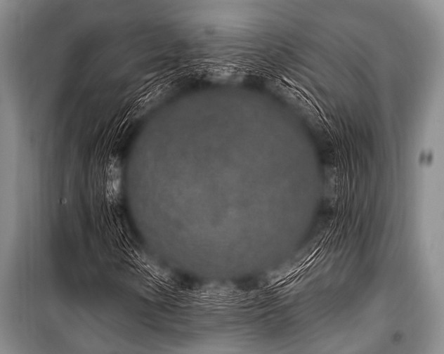 X0000101231154200806271505