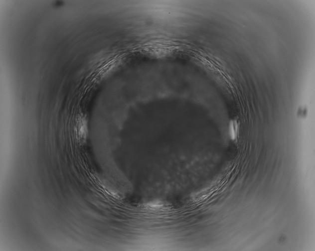 X0000101231155200806271505