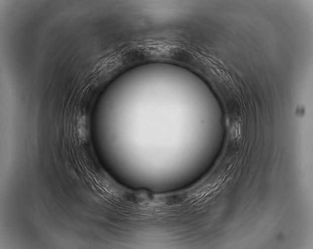 X0000101231156200806271505