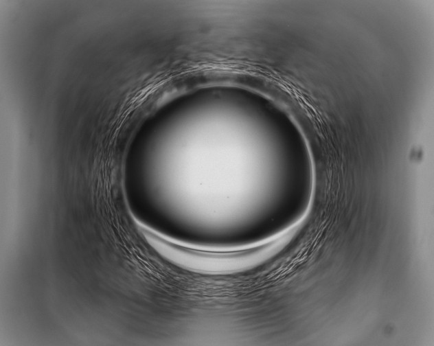 X0000101231157200806271505
