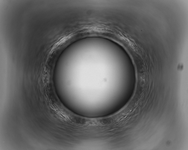 X0000101231159200806271505