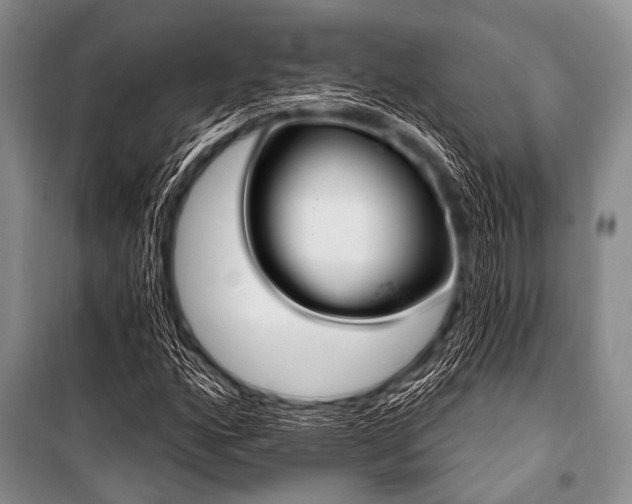 X0000101231160200806271505