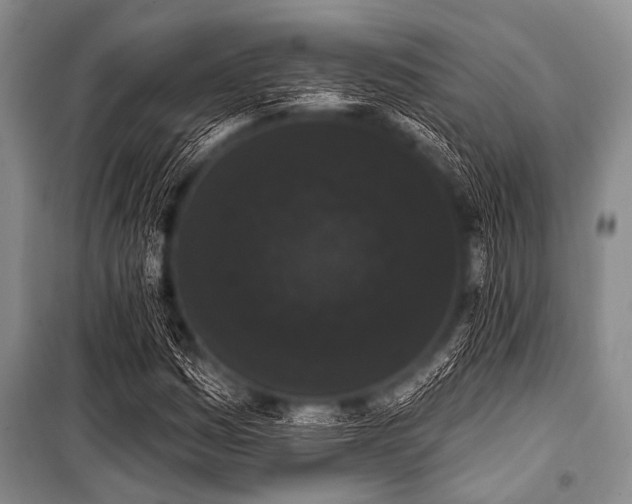 X0000101231161200806271505