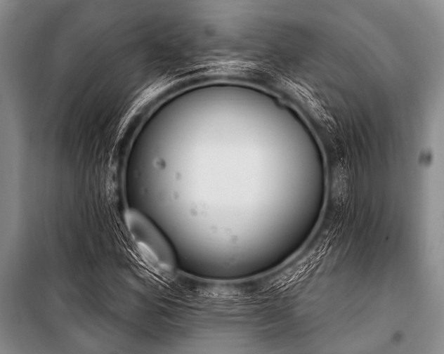 X0000101231164200806271505