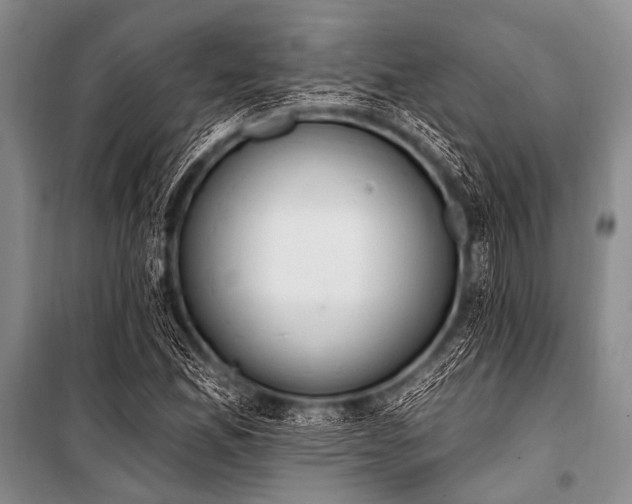 X0000101231165200806271505
