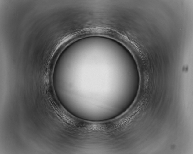 X0000101231166200806271505