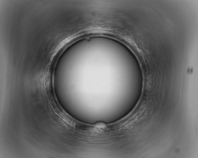 X0000101231167200806271504