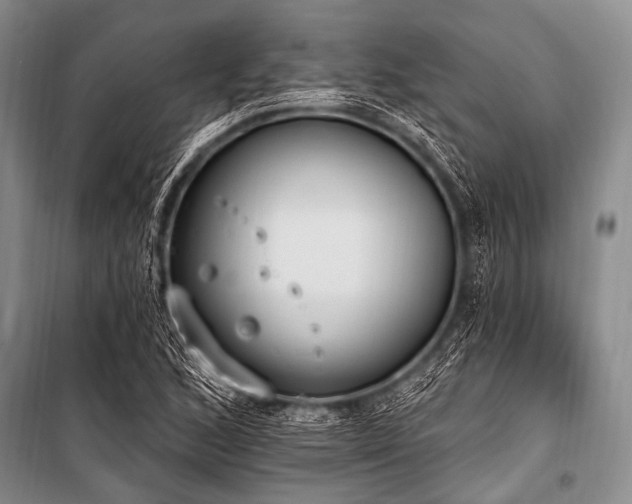 X0000101231168200806271504
