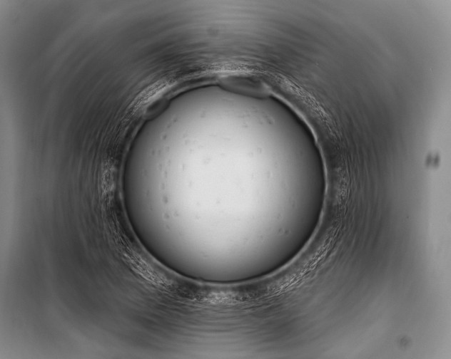 X0000101231169200806271504
