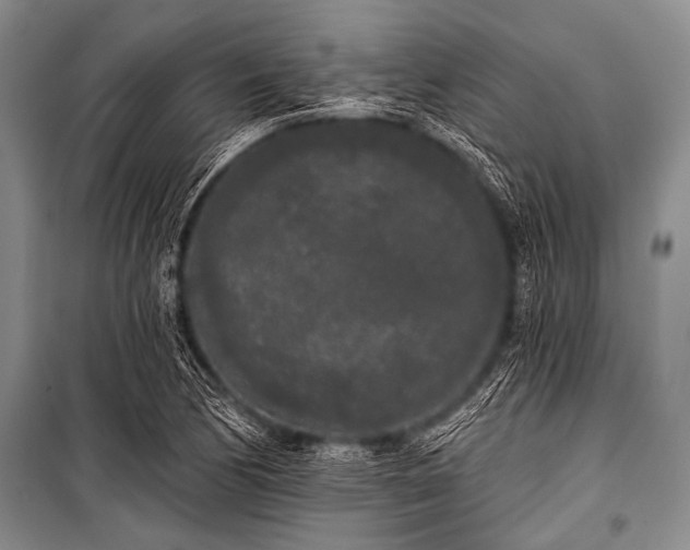 X0000101231170200806271504