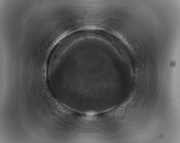 X0000101231173200806271504
