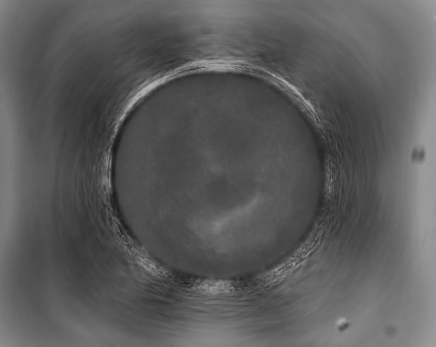 X0000101231174200806271504