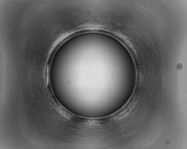 X0000101231175200806271504
