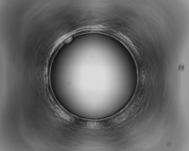 X0000101231176200806271504