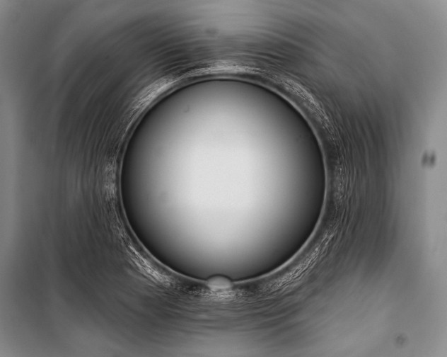 X0000101231177200806271504