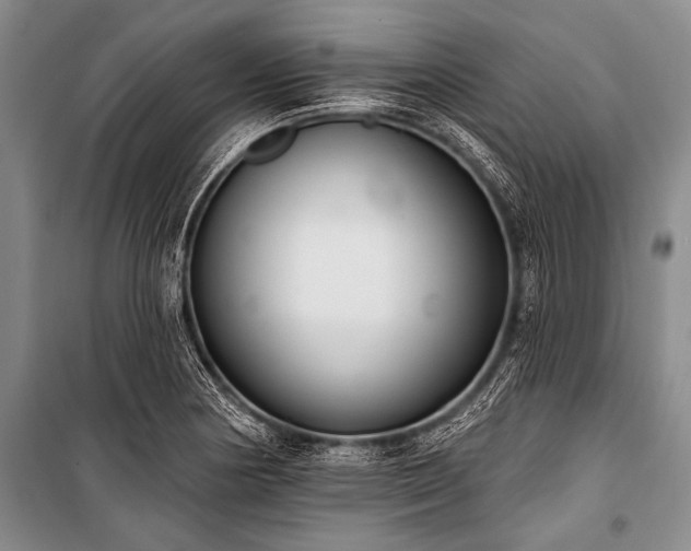 X0000101231178200806271504