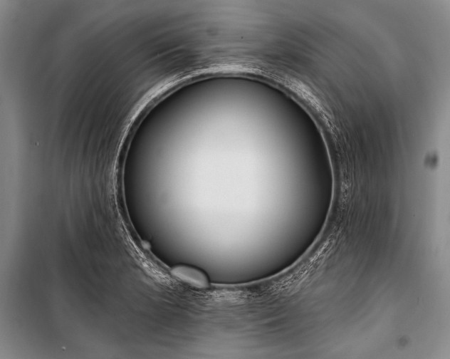 X0000101231181200806271504