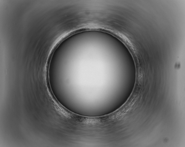 X0000101231183200806271504