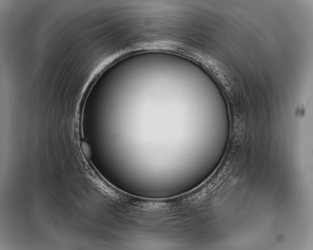 X0000101231184200806271504