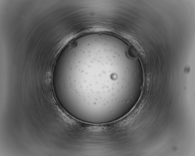 X0000101231185200806271504