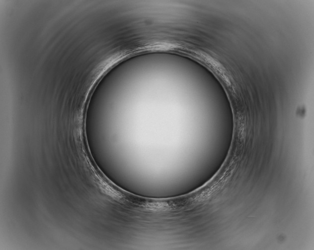 X0000101231186200806271504