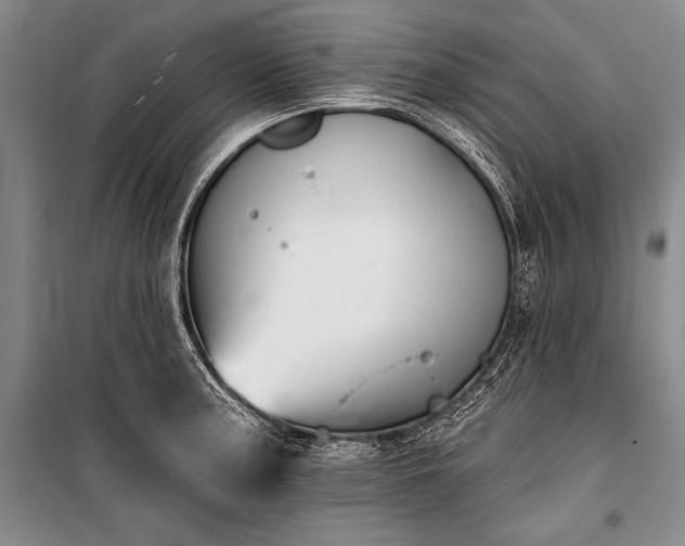 X0000101231187200806271504