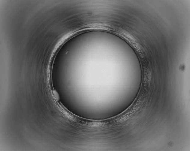 X0000101231188200806271504