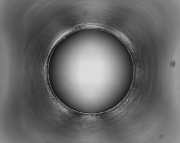 X0000101231190200806271504